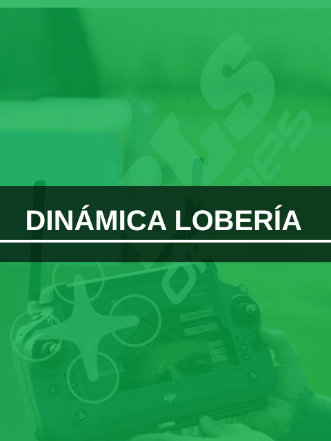 Dinamica Loberia